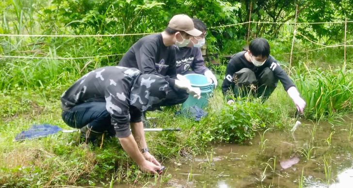 希少種トウキョウサンショウウオの放流を行いました!