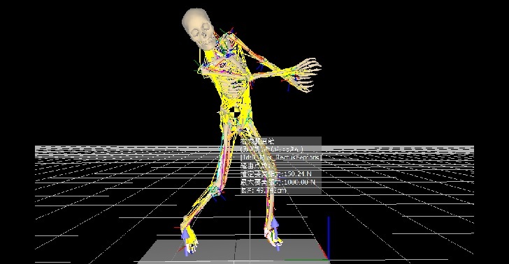 プロゴルファーのスイング向上に対する研究活動