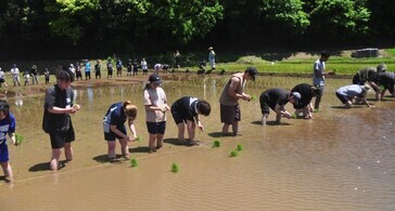 千葉県芝山町で一般参加者とともに学生が田植えを体験しました