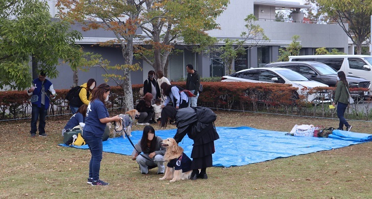 【小児ゼミ】大学祭でドッグセラピー体験とこども遊びスペースを実施しました。