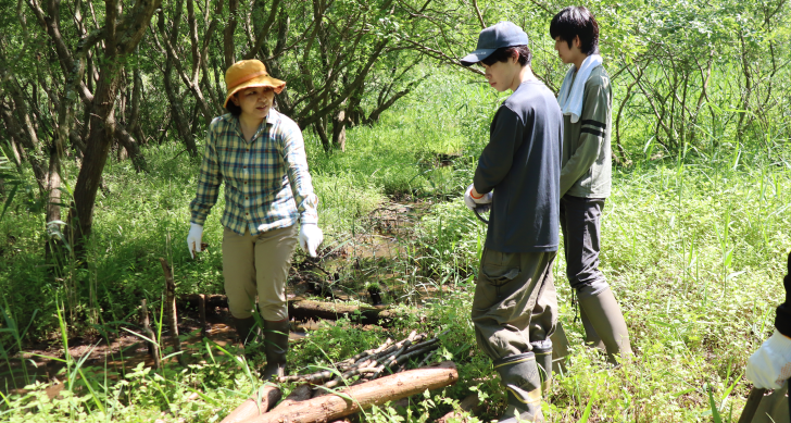 ホタルが舞う谷津田を未来へ　地域と学生が守る里山の光