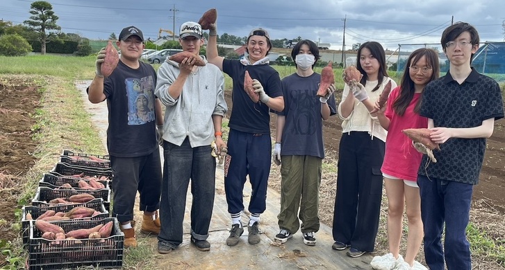 JALグループの観光農園でサツマイモの収穫を体験