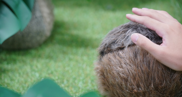 2025 アジアデジタルアート大賞展 FUKUOKAで優秀賞を受賞!