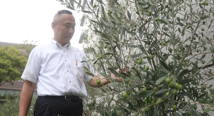 研究简介——三本敦教授