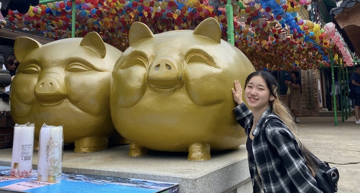 韓国釜山の東西大学で交換留学しています