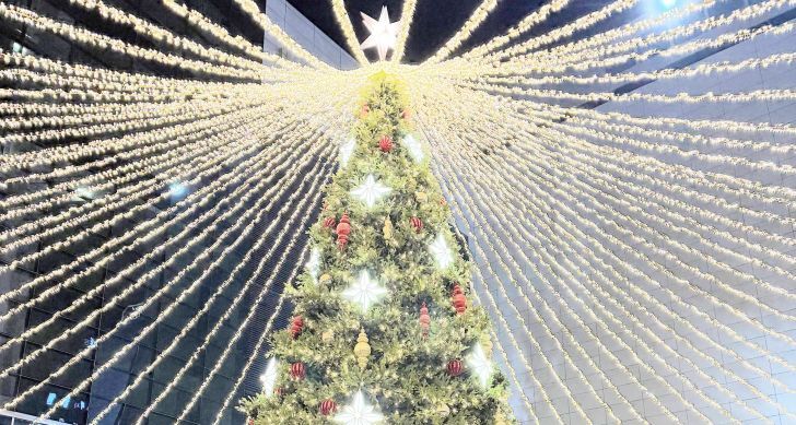 韓国留学便り2025年11月号