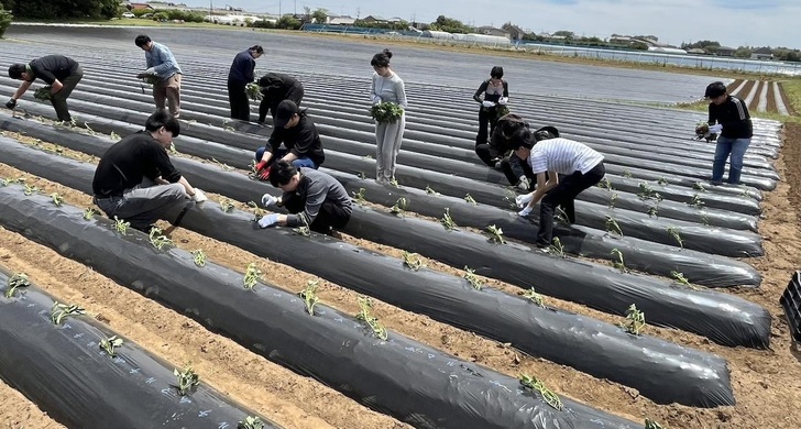 成田空港近くのJALグループの観光農園でフィールドワークを実施
