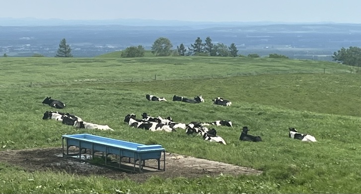北海道上士幌町でワーケーションの実地調査を行いました