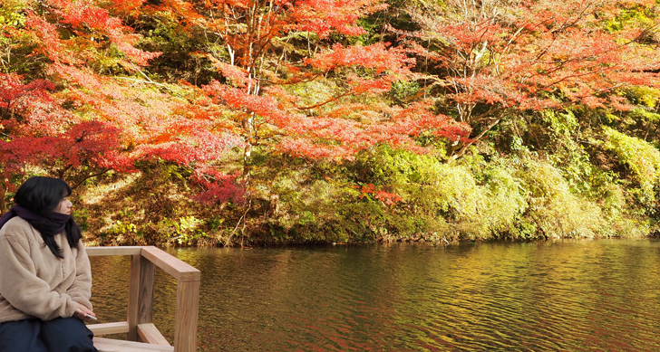 観光ゼミナール 地域の活性化を考える Vol.４　紅の里水上お茶会