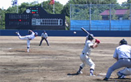 野球 部 大学 城西 野球部紹介