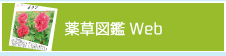 薬草図鑑