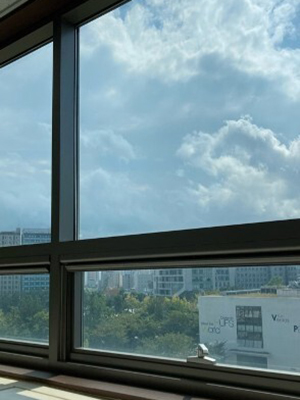 韓国外国語大学校