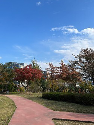 仁川大学校