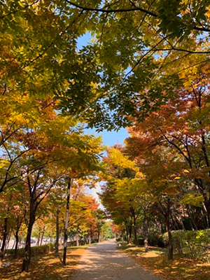 仁川大学校