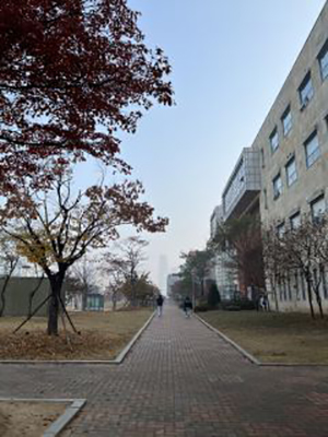 仁川大学校