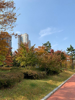 仁川大学校