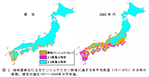 温暖化した世界で食糧を確保するためには イネーブルガーデンにミカンの苗木を植栽しました 環境社会学部 環境社会学科 城西国際大学