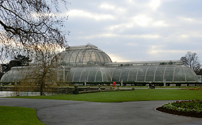 イギリス研修 No 3 王立キューガーデンで世界の植物種の保存を学ぶ 環境社会学部 環境社会学科 城西国際大学 イギリス研修 No 3 王立キューガーデンで世界の植物種の保存を学ぶ 環境社会学部 環境社会学科 城西国際大学