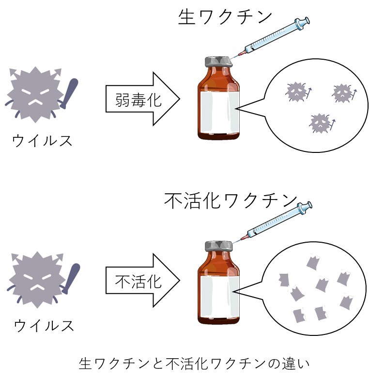 活化 ワクチン 不