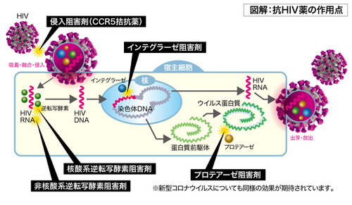 治療 薬 日本 コロナ