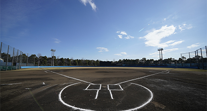 Mizuta Memorial Ballpark (Togane Ballpark)