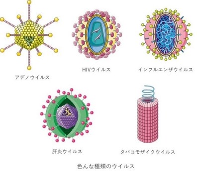 いろんな種類のウイルス