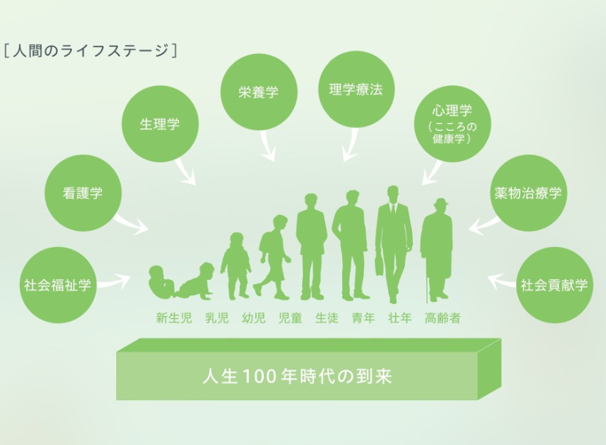 Figure: Human life stage