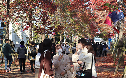 見頃を迎えた紅葉が、桜に代わって１年生を歓迎