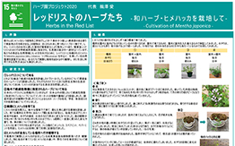 ハーブ園プロジェクト2020（薬学部）