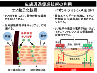 プレゼンテーションで用いたスライドの一部