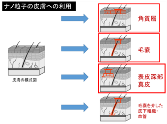 プレゼンテーションで用いたスライドの一部