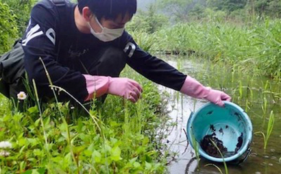 トウキョウサンショウウオの放流