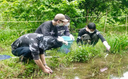 トウキョウサンショウウオを見守る学生たち