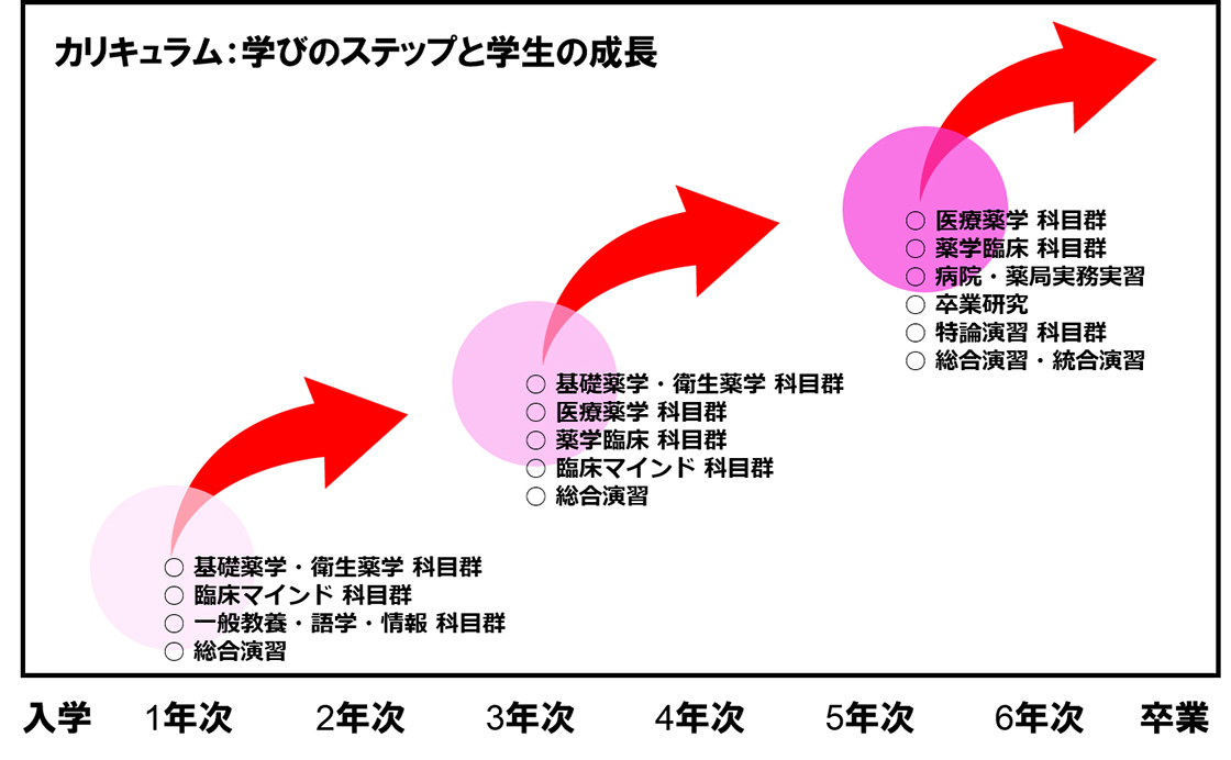 カリキュラム：学びのステップと学生の成長