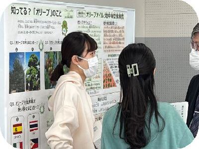 オリーブ産地化応援プロジェクトの学園祭 薬学部 医療薬学科 城西国際大学