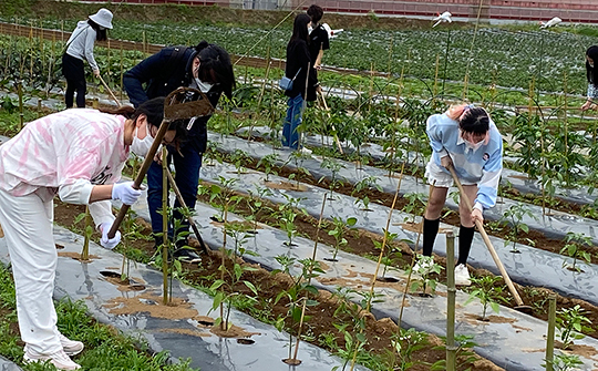施設見学の後、農作業のお手伝いを実施